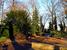 im Schloßpark des Köpenicker Schloßes