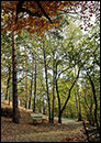 Waldweg in den Kanonenbergen