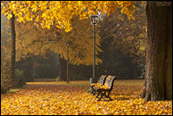 Herbst im Köpenicker Schloßpark - 1624