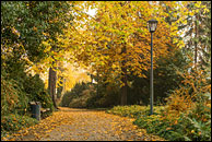 Herbst im Köpenicker Schloßpark - 1632