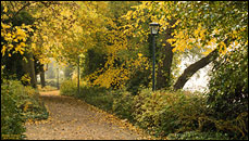 Köpenicker Schloßpark im Herbst