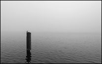 Großer Müggelsee im Nebel