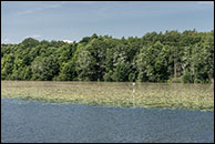 Seddinsee