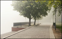 Luisenhain im Nebel - Mai 2017
