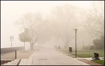 Luisenhain im Nebel - Mai 2017