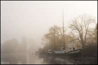 ArsVivendi im Nebel, Müggelspree