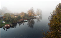 Baumgarteninsel und Alte Spree im Nebel