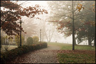 Park auf der Krusenick-Halbinsel im Nebel