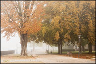 Luisenhain im Nebel
