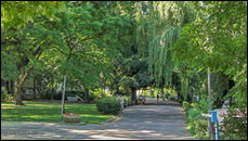 Uferpromenade Luisenhain im Sommer 2004