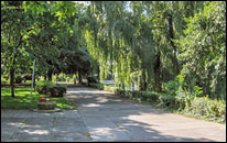 Uferpromenade Luisenhain im Sommer 2004